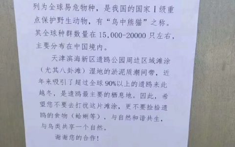 大伙都别去挖蛤蜊了。 ​​​​