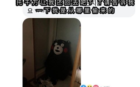 熊本熊失踪事件 ​​​​