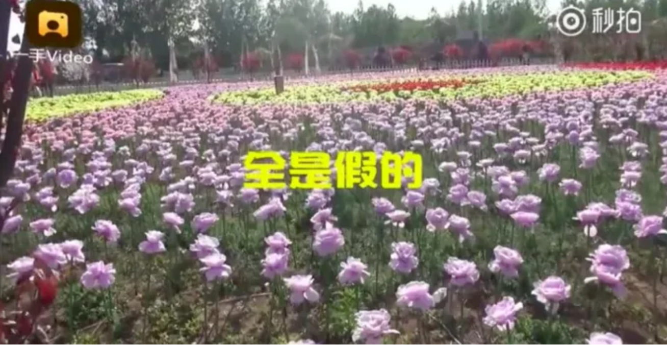 288cc0ff022877bd3df94bc9360b9c5d