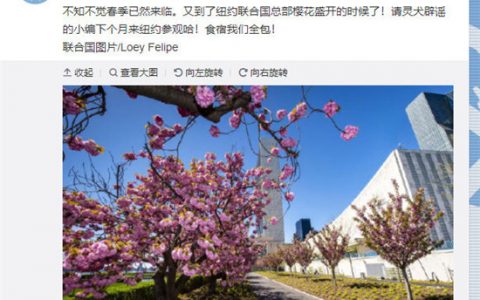 那些看起来像被盗号的微博截图，都是怎么做出来的？