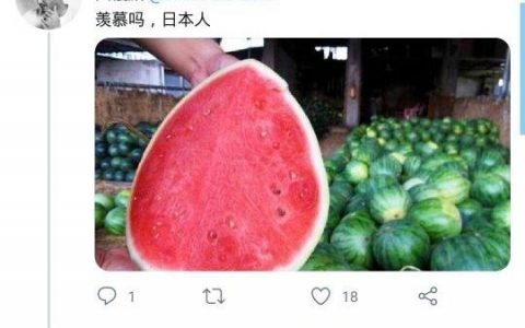 违反了什么？
