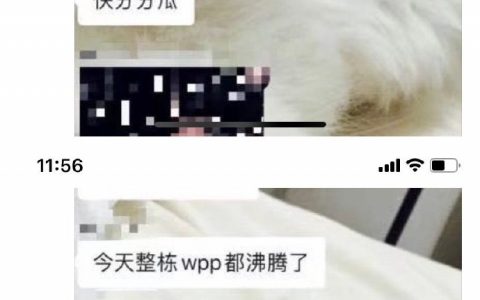 你们要的奥美瓜来了，先说好不保熟哦
