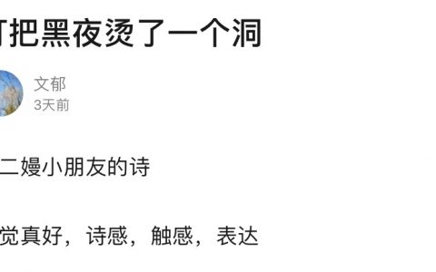 小朋友有多会写诗