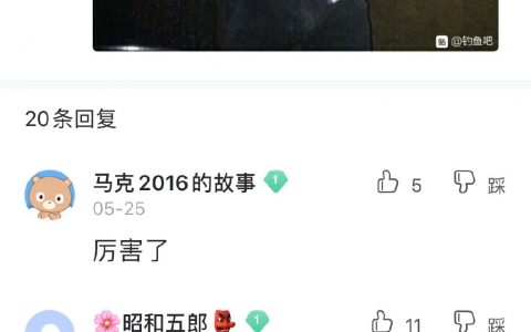 每天睡觉前都要去钓鱼吧看看老哥们今天都钓到了什么 ​​