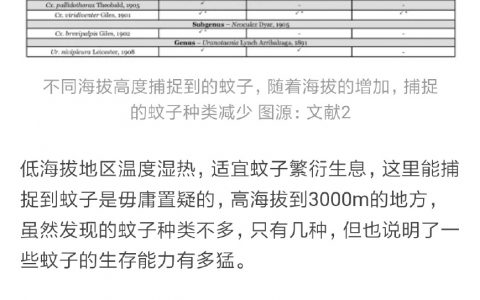 蚊子为什么能上32层楼？ ​​​​