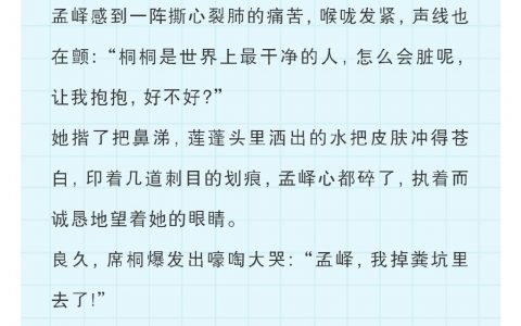 网络小说中的迷惑桥段