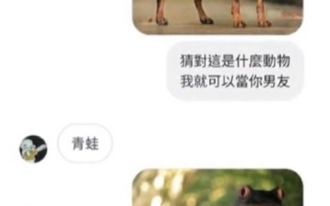 “我和我骄傲的倔强”