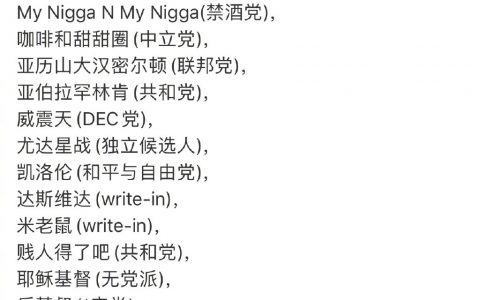 其实侃爷Kanye并非最奇葩的候选人