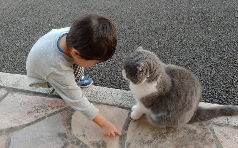 上幼儿园的小朋友在地上给猫猫指路，告诉猫猫要去幼儿园接他！！！