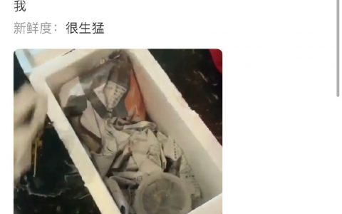 只有魔法才能打败魔法