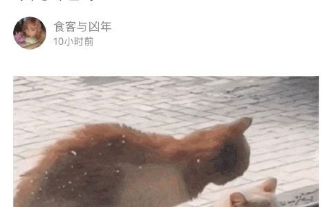 艹我竟然看得心里难受，摸摸它啊