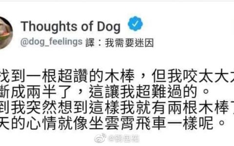 太可爱了 如果狗狗玩推的话