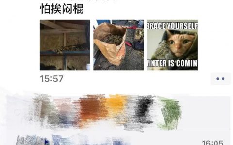 哈哈哈哈哈好一个祸不单行