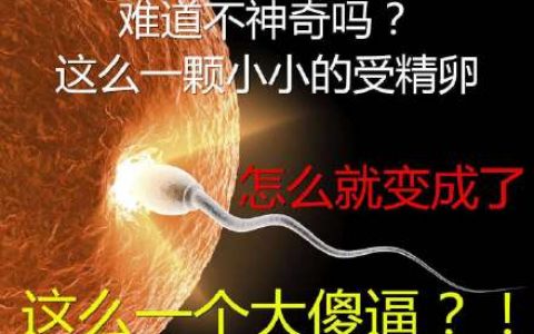 假如现在人生各种失意，很可能就是那时用光了这辈子所有的运气