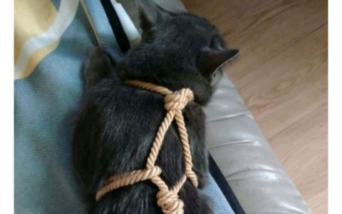 人不能​​​​ 至少不应该
