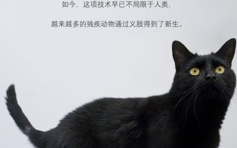 重获新生。 ​​​​
