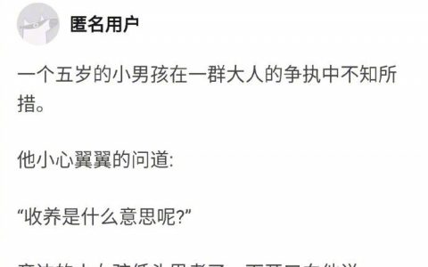 今日份的温暖