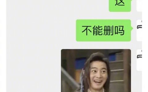 间歇性删人症 哈哈哈哈哈学会了