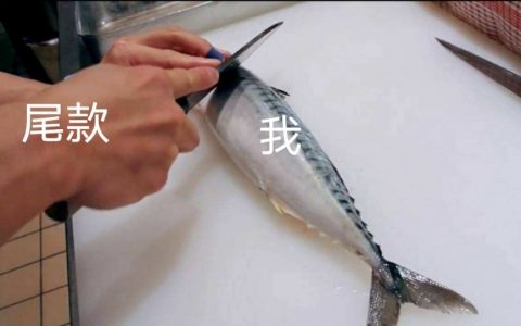 此刻的我，像是一条案板上的鱼