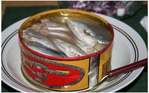 瑞典人揭秘鲱鱼罐头正确吃法！世界最臭鱼真能变好吃吗？