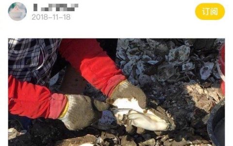 小编，你要是闲得没事，来把我家猪圈打扫了