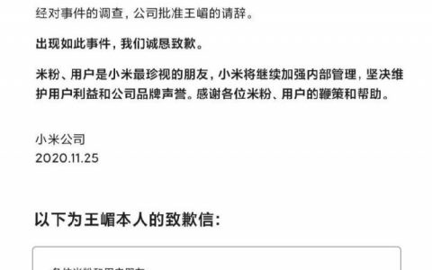 如何看待小米集团王嵋为其错误言辞致歉并主动请辞？