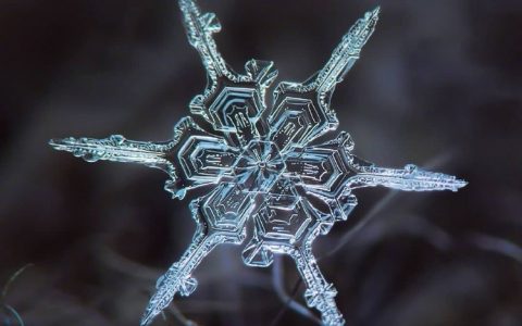 微距镜头下的雪花，这大概就是冬天里最美的花吧！