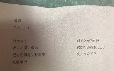 小朋友们的诗，一个纯净无暇的世界。