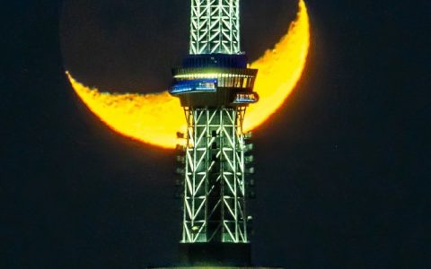 东京晴空塔与三日月重叠的一幕