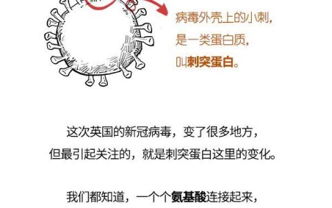 听说新冠在英国变异了？ ​​​​