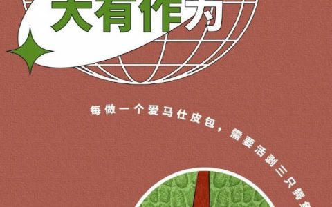 爱马仕屠杀了多少鳄鱼