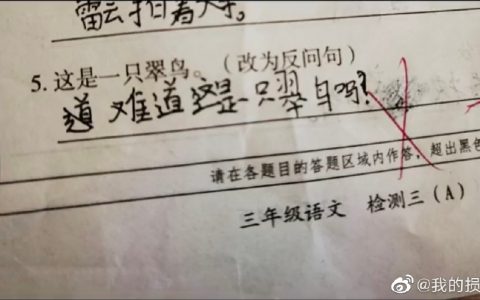 这是一只翠鸟改为反问句