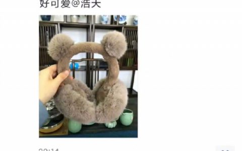 不能说毫无关系，只能说一摸一样