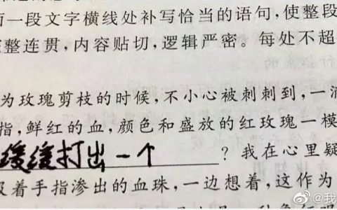 小学生的作业也太好笑了吧