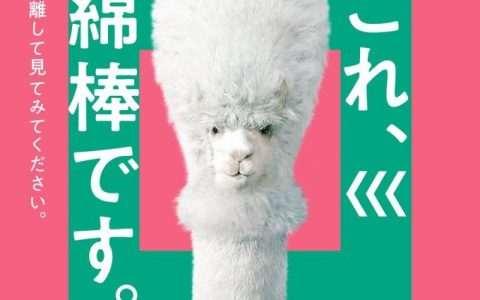 SANYO的Kodawari棉签系列广告，请问谁会不喜欢这样的小羊驼呢？ ​​​​
