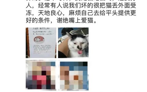 享受编制待遇，不受编制束缚，吾辈楷模