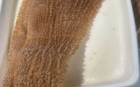 这位朋友的语言吐槽能力真是绝了～