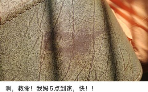 汪星人：？？？？？？？？？？？？？
