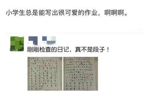 小学生写作业能有多敷衍