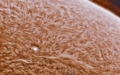 哇喔，NASA再次发布了太阳表面的照片～