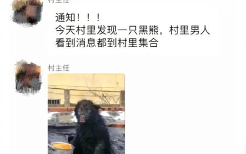 黑熊精是你吗？哈哈哈哈哈哈