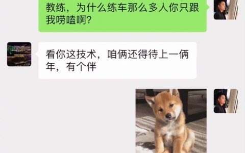 练车教练才是阴阳大师
