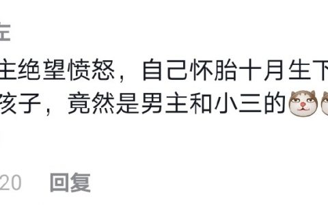 你都看过哪些污辱智商的小说片段？ ​​​​