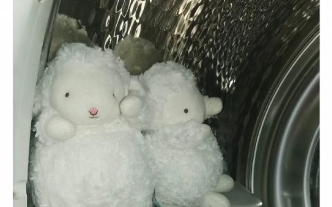 洗完的娃娃在烘干机里找了个地坐着！ ​​​​