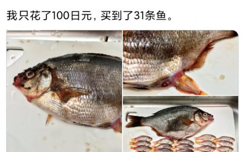 “我只花了100日元，却买到了31条鱼。” ​​​​