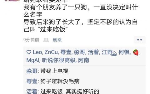 给狗取名一定要趁早