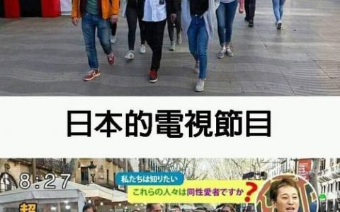 一般电视节目与日本电视节目的区别