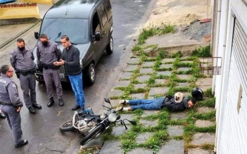 那些猫咪本不应该出现的地方