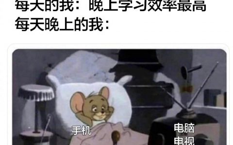 每天骗我自己 ​​​​