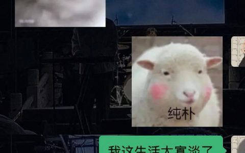 侣间分享欲真的太重要了！ ​​​​